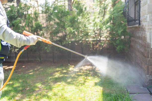 Spider Control Near Me in Pelahatchie, MS