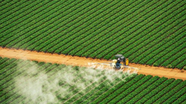 Trusted Pelahatchie, MS Pest Control Experts