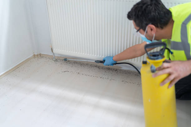 Best Pest Control Near Me  in Pelahatchie, MS